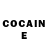 COCAIN Fish Scale TurboGame 31
