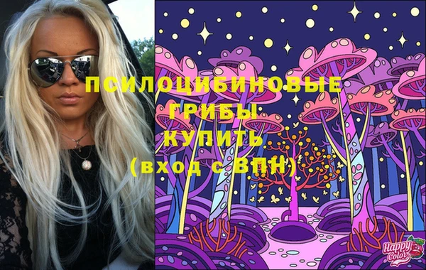 прущие грибы Богородицк