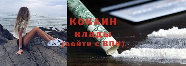 гидра Бронницы