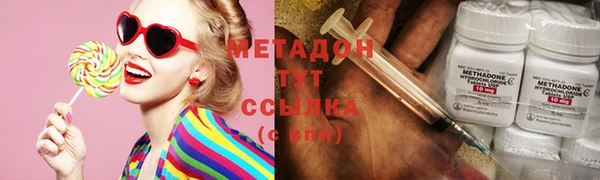 прущие грибы Богородицк
