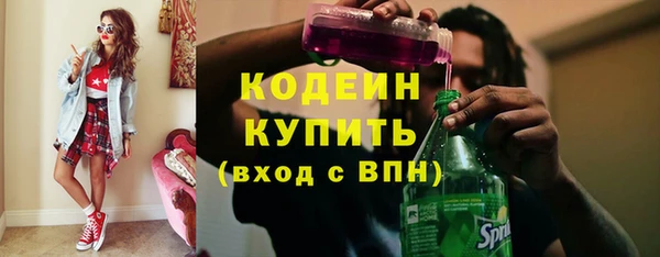 прущие грибы Богородицк