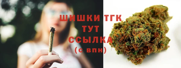 прущие грибы Богородицк