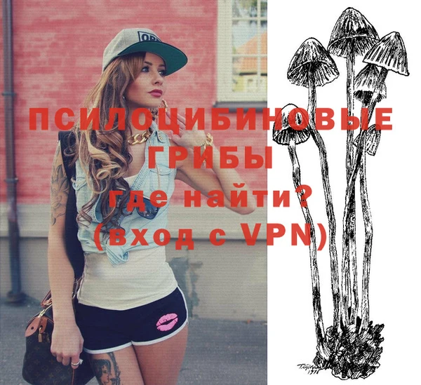 шишки Бугульма