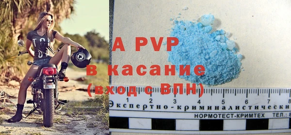 прущие грибы Богородицк
