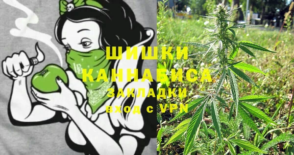 прущие грибы Богородицк
