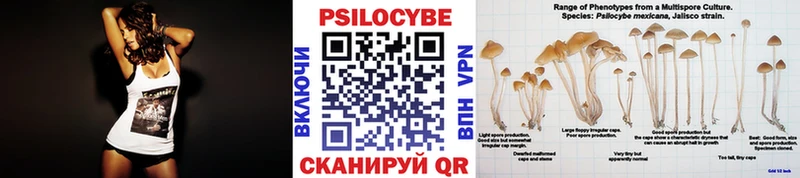 Галлюциногенные грибы ЛСД  Берёзовский 